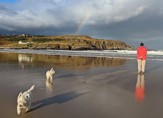united-kingdom/sutherland/attraction/farr-bay-bettyhill