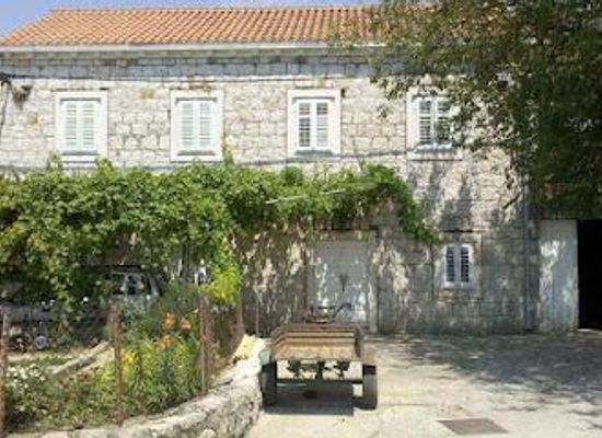 montenegro/old-herzegovina/attraction/vinarija-winery-miljas