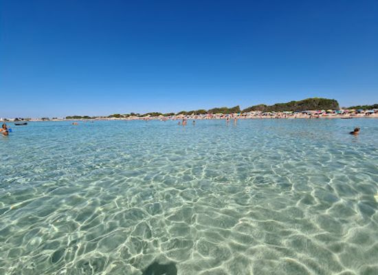 italy/salento/attraction/spiaggia-le-dune-di-punta-prosciutto
