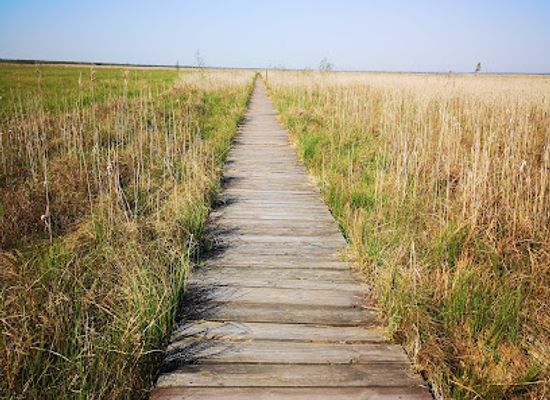 poland/podlachia/attraction/biebrzanski-park-narodowy