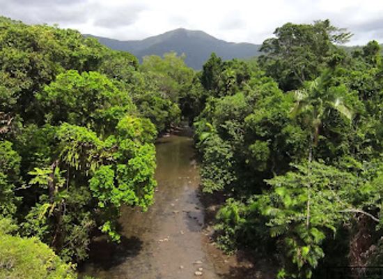 australia/cape-tribulation/attraction/emmagen-creek-east