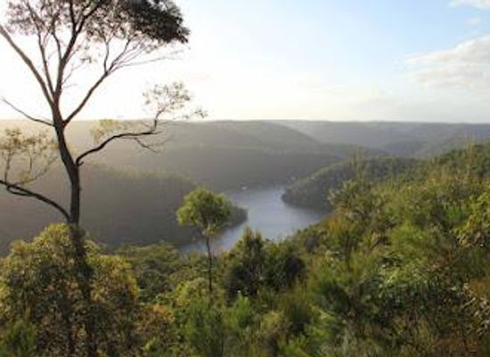 australia/western-new-south-wales/attraction/berowra-valley-national-park