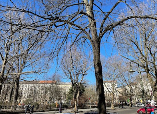germany/berlin/prenzlauer-berg/attraction/kollwitzplatz