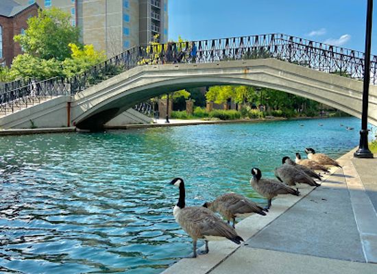 indiana/indianapolis/broad-ripple/attraction/white-river-state-park