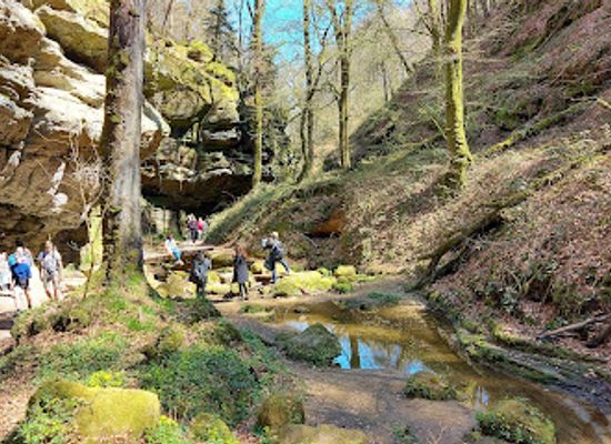 luxembourg/echternach/attraction/perekop