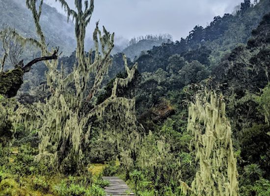 uganda/lango/attraction/rwenzori-mountains-national-park