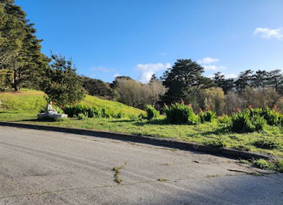 california/daly-city/attraction/turtle-hangout