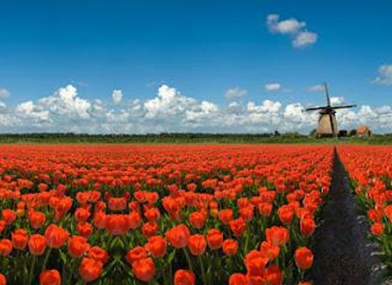 netherlands/amsterdam/attraction/hans-langh-tours