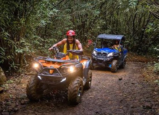 mauritius/bel-ombre/attraction/la-vallee-des-couleurs-nature-park