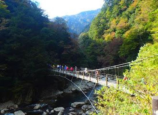 japan/hiroshima-countryside/attraction/sandankyo