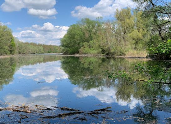hungary/csallokoz/attraction/chranena-krajinna-oblast-dunajske-luhy