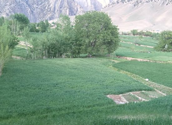 pakistan/kalash-valley/attraction/domoon-valley