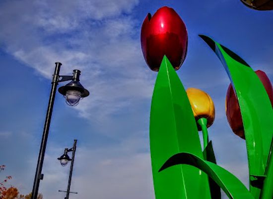 washington/the-skagit-valley/attraction/edgewater-park