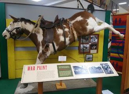 oregon/pendleton/attraction/pendleton-round-up-happy-canyon-hall-of-fame-museum