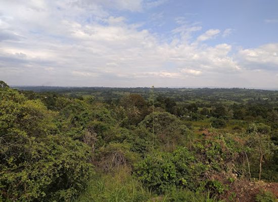 kenya/mount-elgon-national-park/attraction/sang-alo-hills-national-reserve