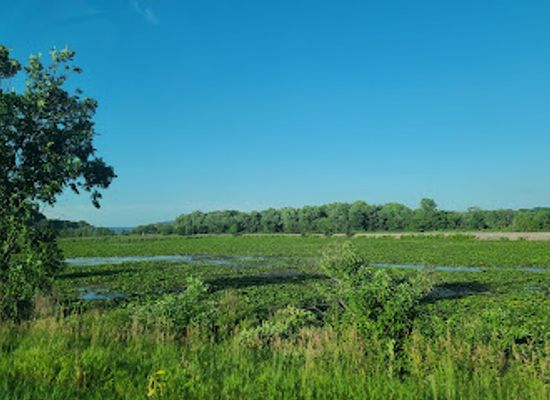 mississippi/the-jackson-prairie/attraction/upper-mississippi-river-national-wildlife-and-fish-refuge
