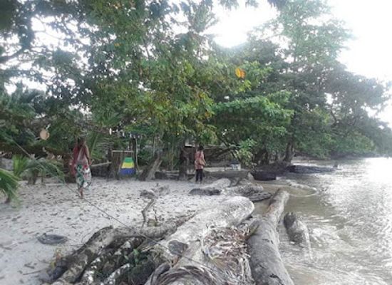 gabon/akanda-national-park/attraction/cap-esterias
