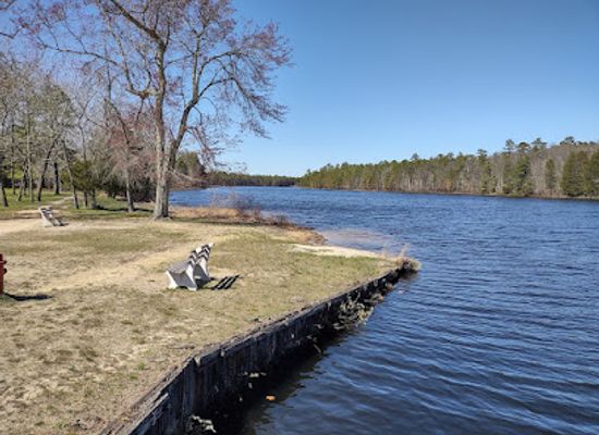 new-jersey/pine-barrens/attraction/wharton-state-forest