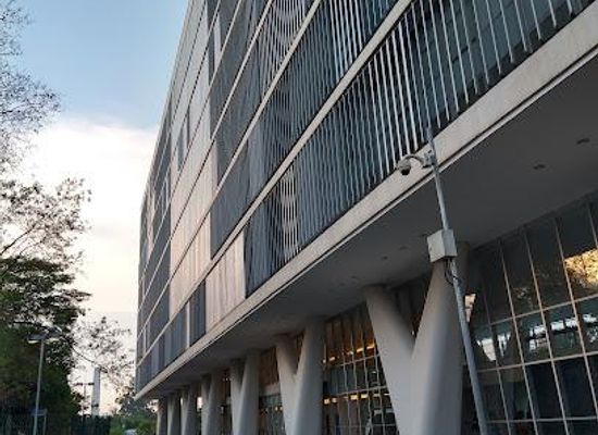 brazil/sao-paulo/attraction/museum-of-contemporary-art-at-the-university-of-sao-paulo