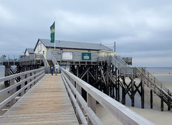 denmark/the-north-sea-islands/attraction/schleswig-holstein-wadden-sea-national-park