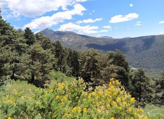 spain/madrid/attraction/cercedilla