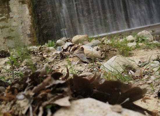 greece/serres/attraction/peripatos