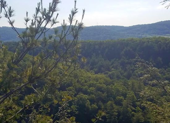 maryland/rocky-gap-state-park/attraction/monkey-s-head-rock