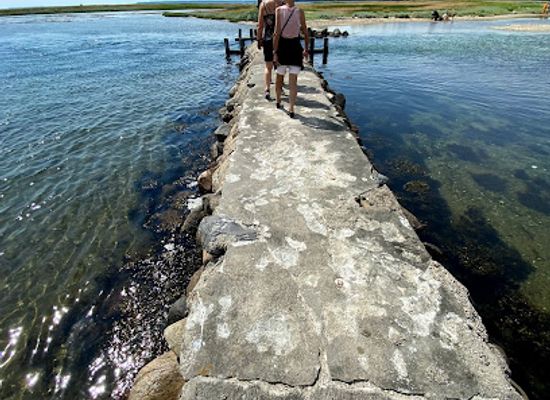 denmark/horsens/attraction/magebroen