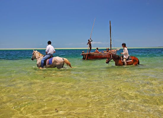 mozambique/quirimbas-archipelago/attraction/mozambique-horse-safari