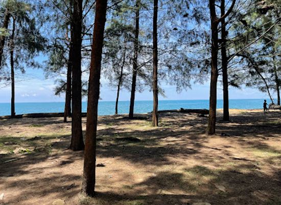 malaysia/terengganu/attraction/pantai-teluk-mak-nik