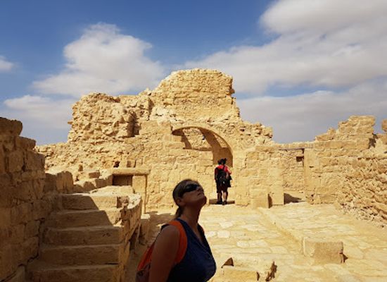 israel/negev-desert/attraction/shivta-national-park
