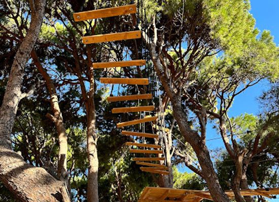 lebanon/batroun/attraction/pine-roots