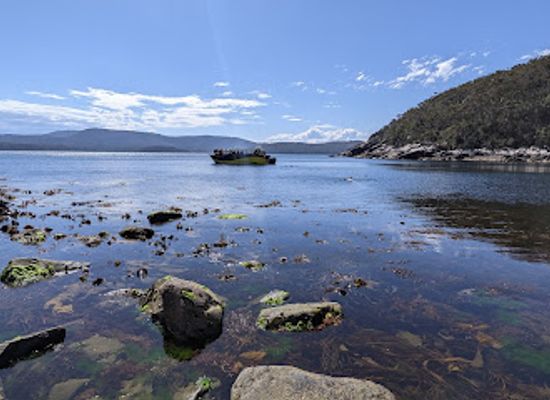 australia/tasman-peninsula/attraction/surveyors-cove