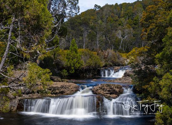 australia/cradle-mountain-lake-st-clair-national-park/attraction/pencil-pine-falls
