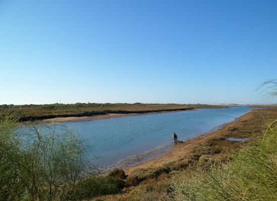 portugal/ria-formosa-natural-park/attraction/from-here