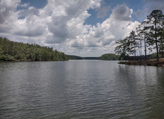 alabama/lake-martin/attraction/dare-power-park