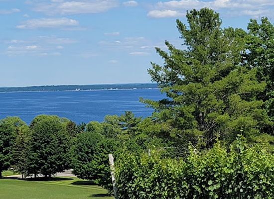 michigan/traverse-city/attraction/mari-vineyards