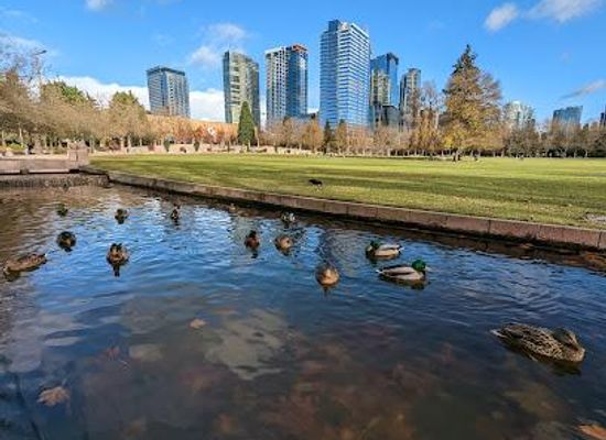 washington/bellevue/attraction/bellevue-downtown-park