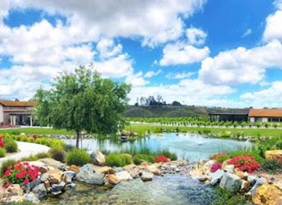 california/south-coast/attraction/avensole-winery