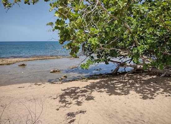 puerto-rico/west-region/attraction/reserva-marina-tres-palmas