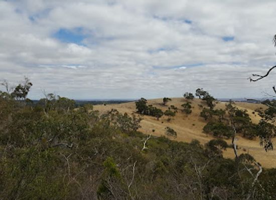 australia/barossa-valley/attraction/hale-conservation-park