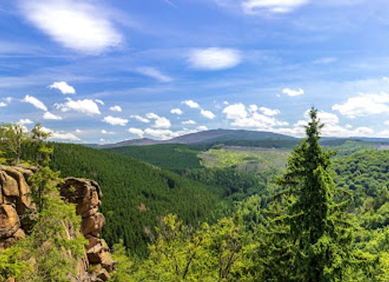 germany/harz/attraction/harz-national-park