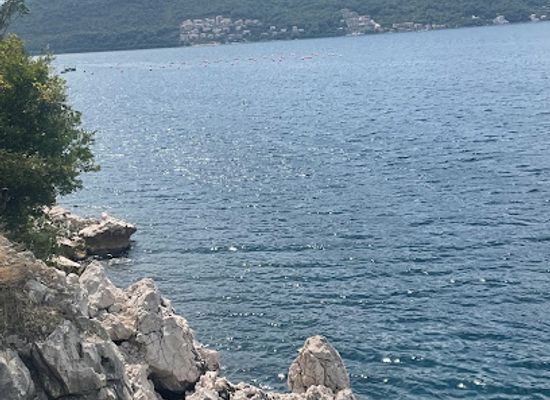 montenegro/herceg-novi/attraction/rhino-rock