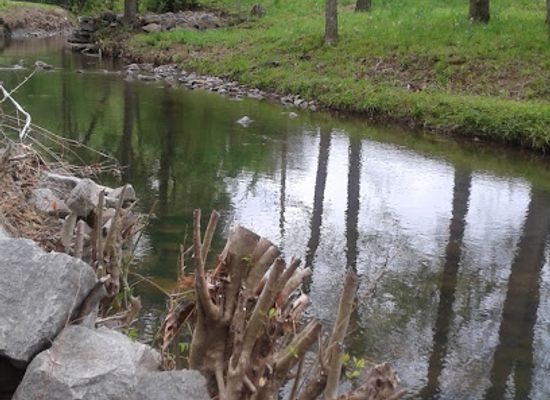 arkansas/central-arkansas/attraction/butler-park