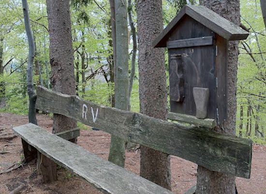 slovenia/kamnik/attraction/roziski-vrh-794