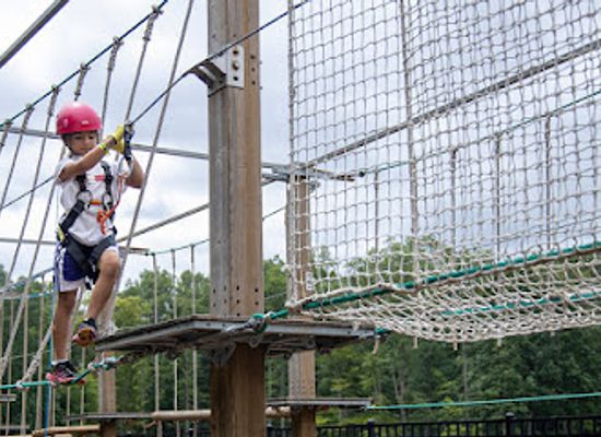 virginia/roanoke/attraction/treetop-quest-explore-park