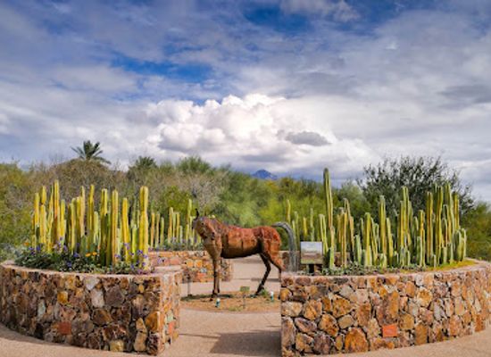 arizona/saguaro-national-park/attraction/tohono-chul-gardens-galleries-and-bistro
