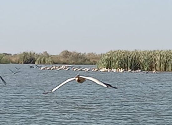 senegal/louga/attraction/reserve-de-gueumbeung-guembeul-natural-reserve
