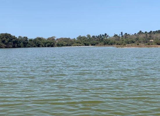 the-gambia/gunjur/attraction/bolongfenyo-community-wildlife-reserve-gepadg
