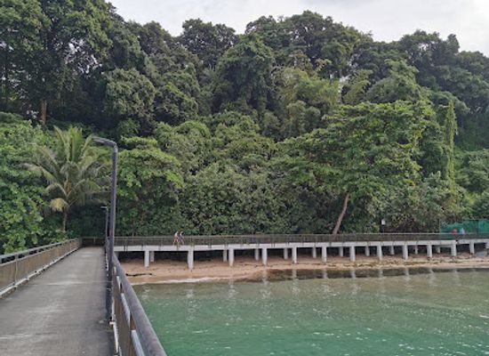 singapore/southern-ridges/attraction/labrador-nature-reserve